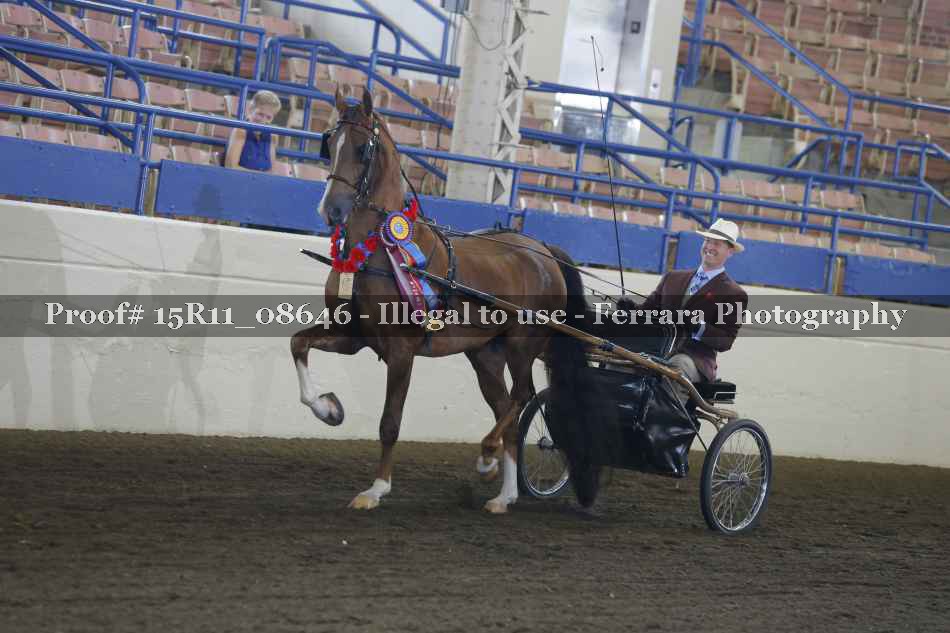Proof Number 15R11_08646