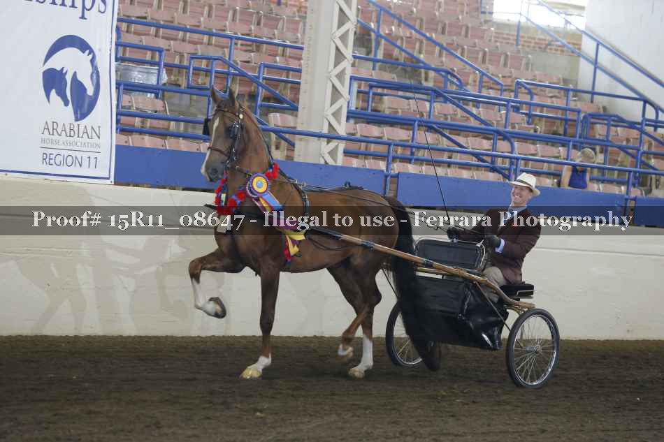 Proof Number 15R11_08647