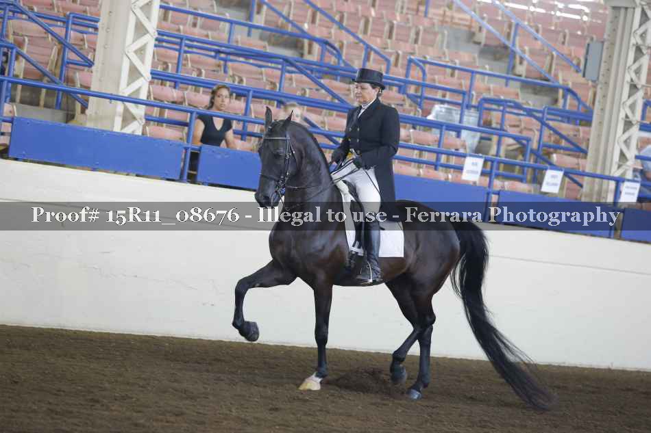 Proof Number 15R11_08676