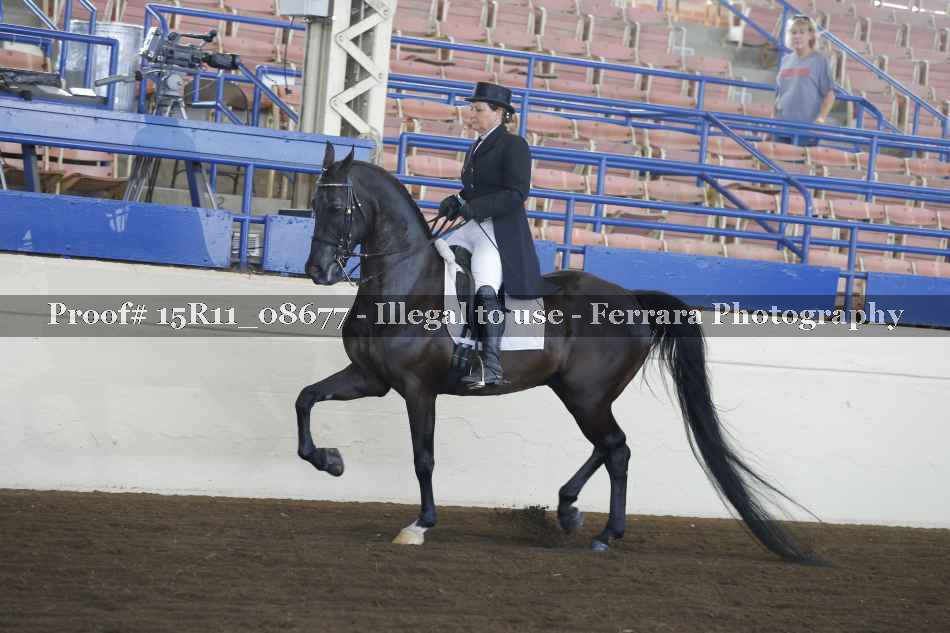 Proof Number 15R11_08677