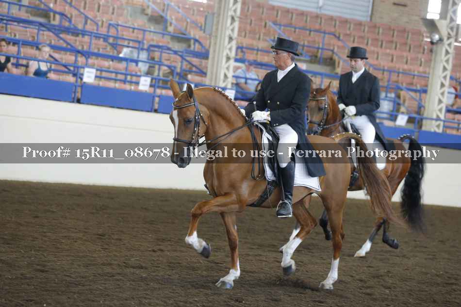 Proof Number 15R11_08678