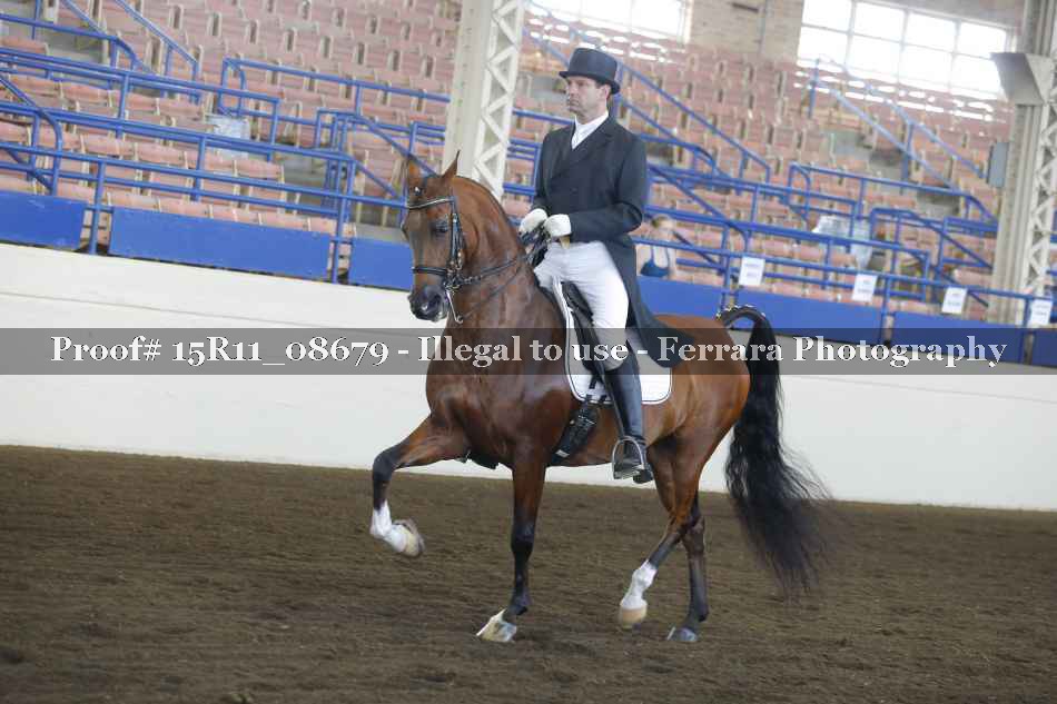 Proof Number 15R11_08679