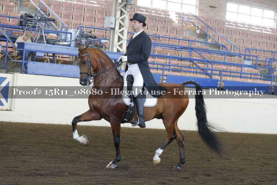 Proof Number 15R11_08680