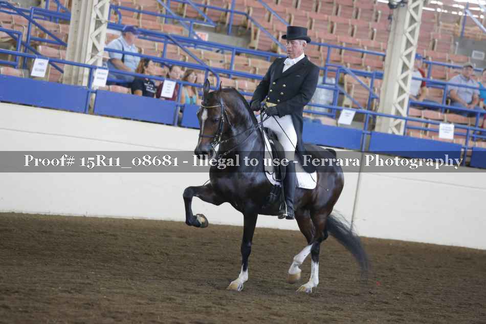 Proof Number 15R11_08681