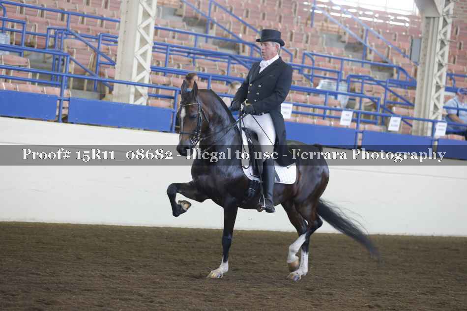 Proof Number 15R11_08682