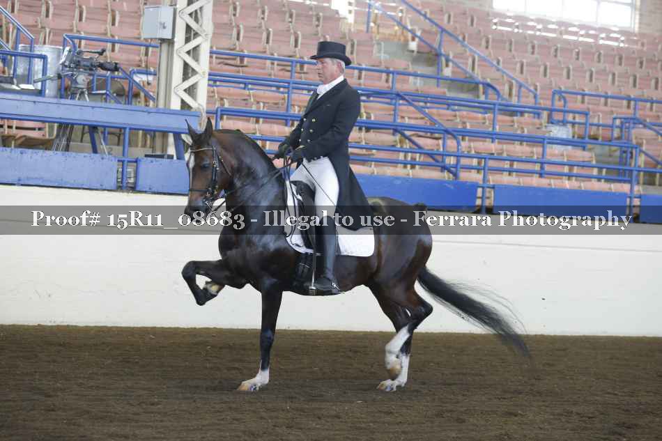 Proof Number 15R11_08683