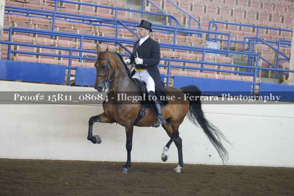 Proof Number 15R11_08684