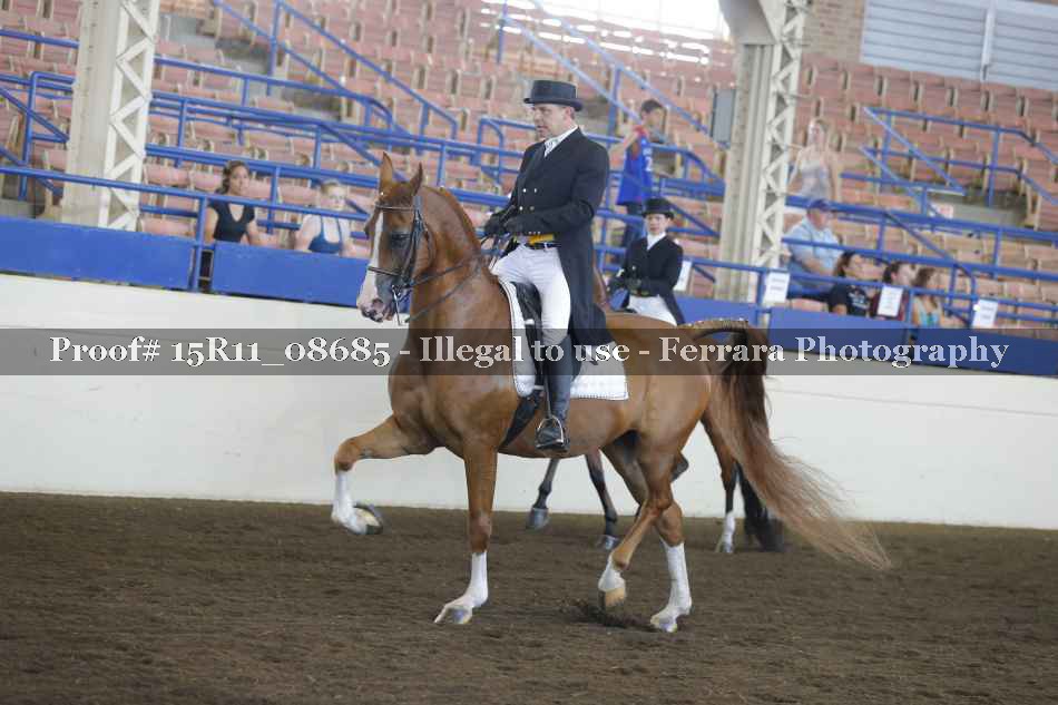 Proof Number 15R11_08685