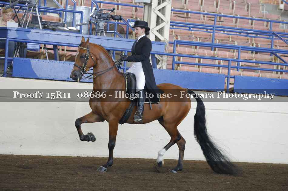Proof Number 15R11_08686