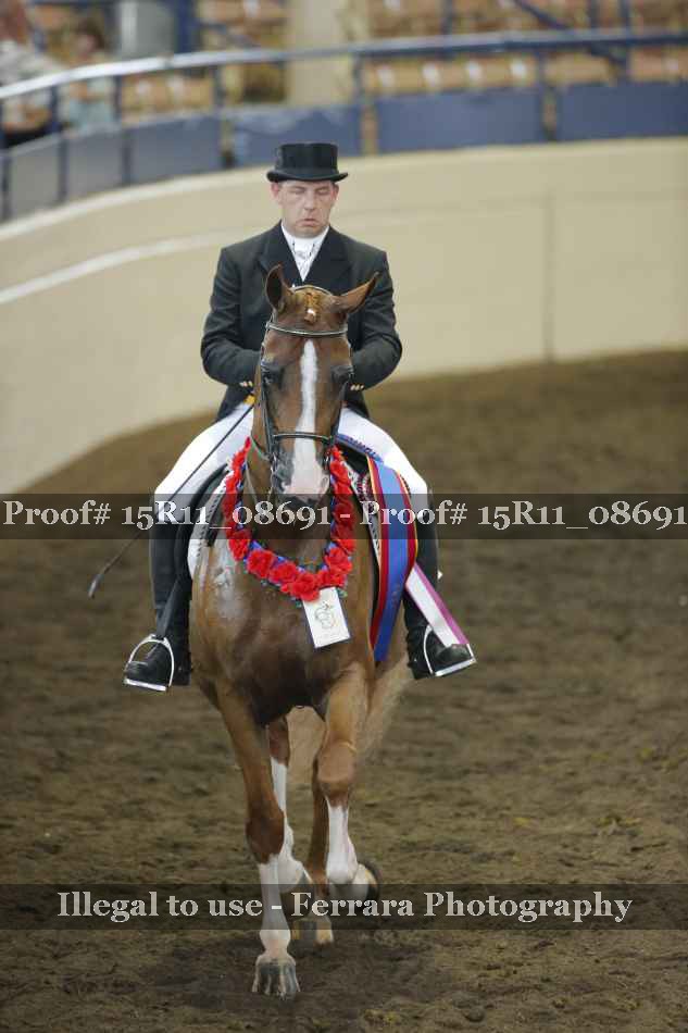 Proof Number 15R11_08691