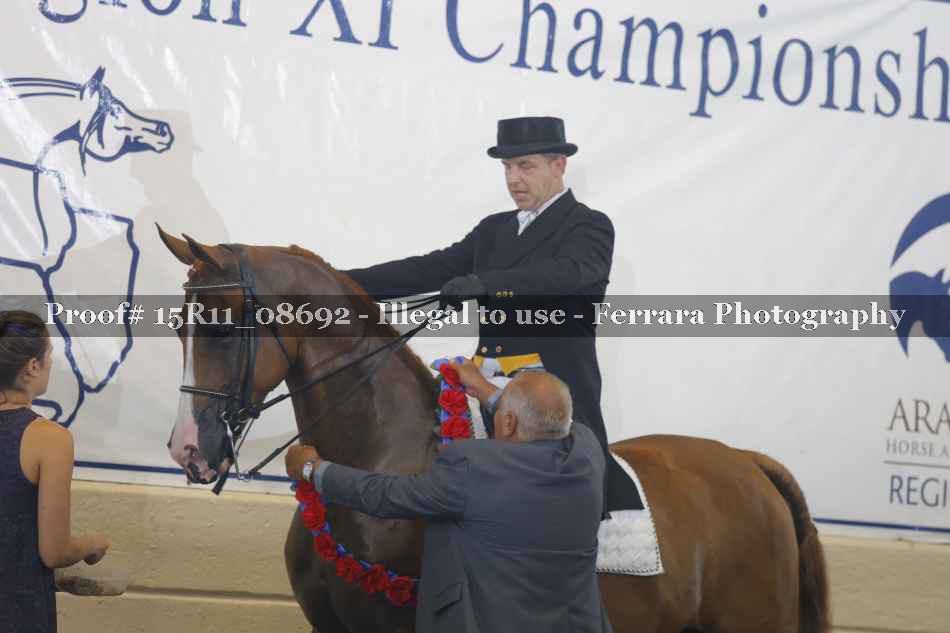 Proof Number 15R11_08692