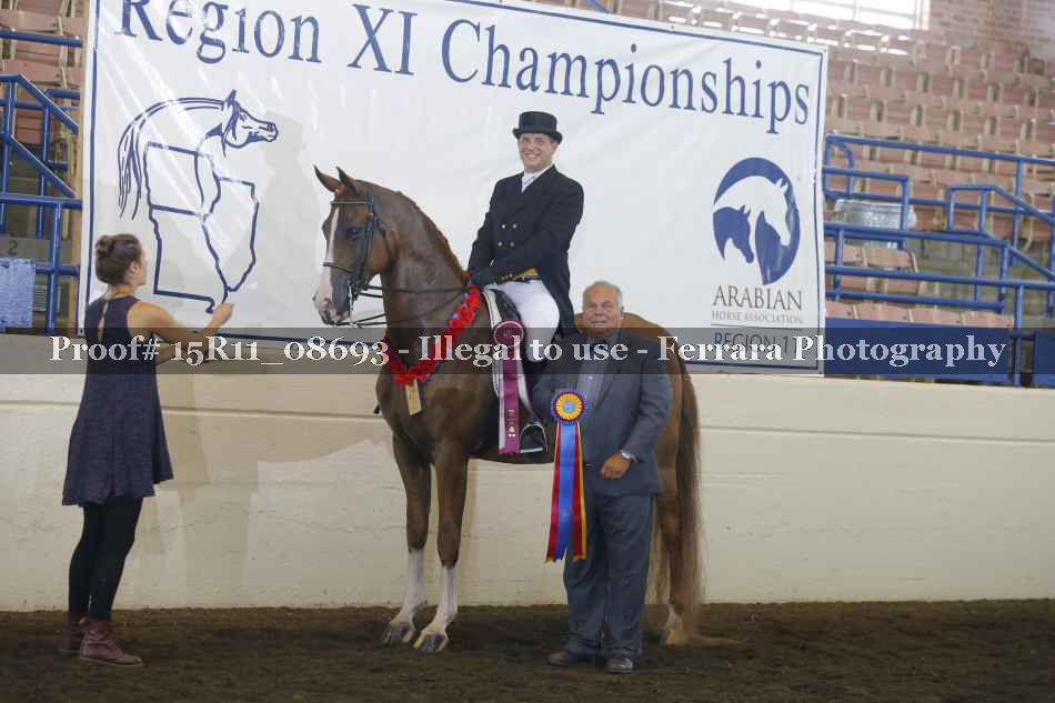 Proof Number 15R11_08693