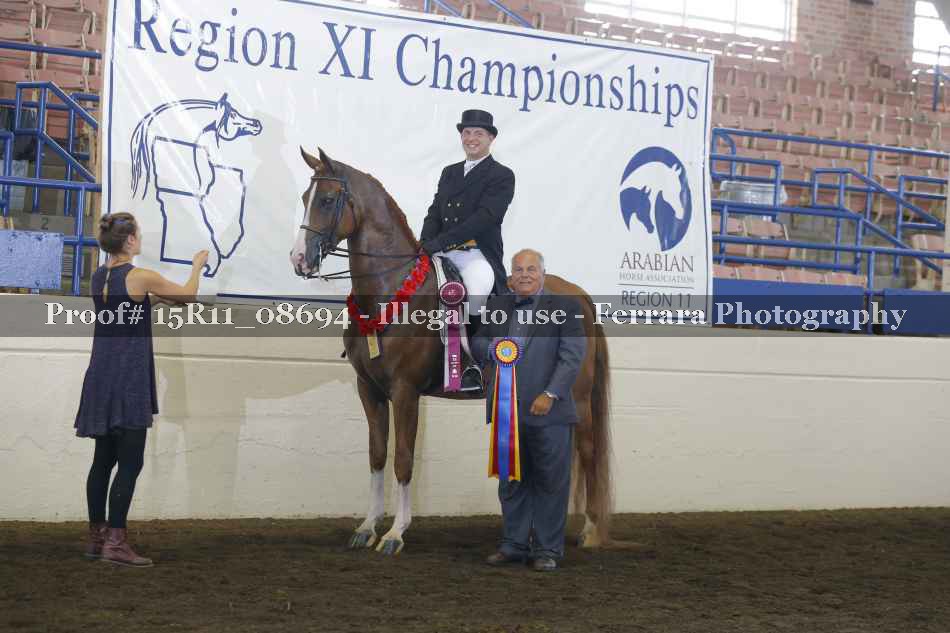 Proof Number 15R11_08694