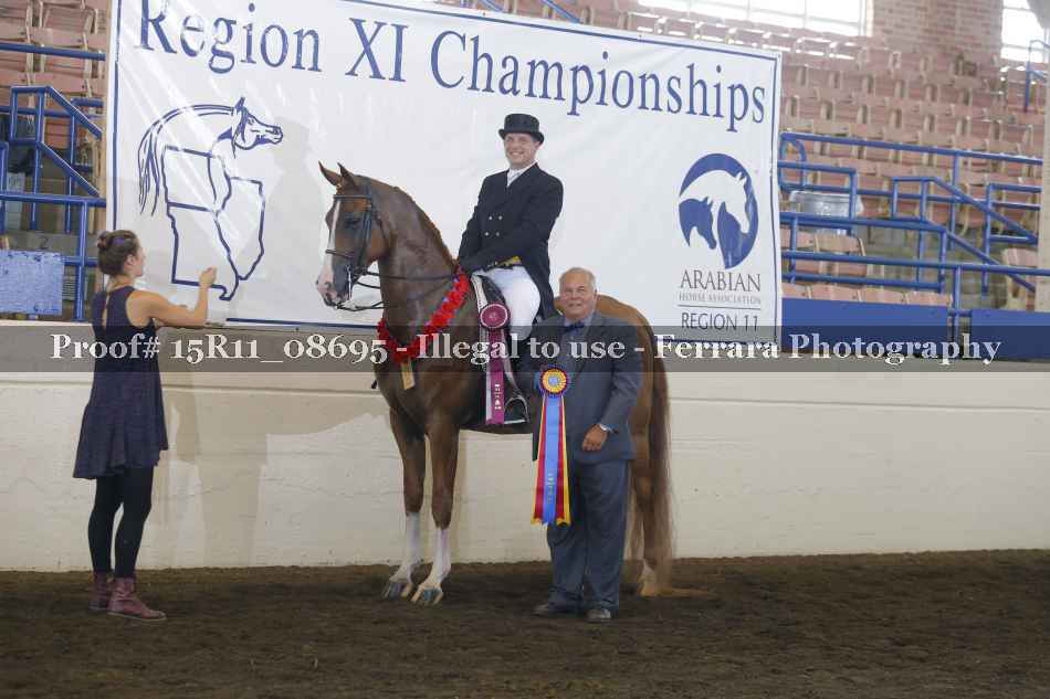 Proof Number 15R11_08695