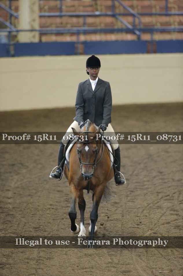 Proof Number 15R11_08731