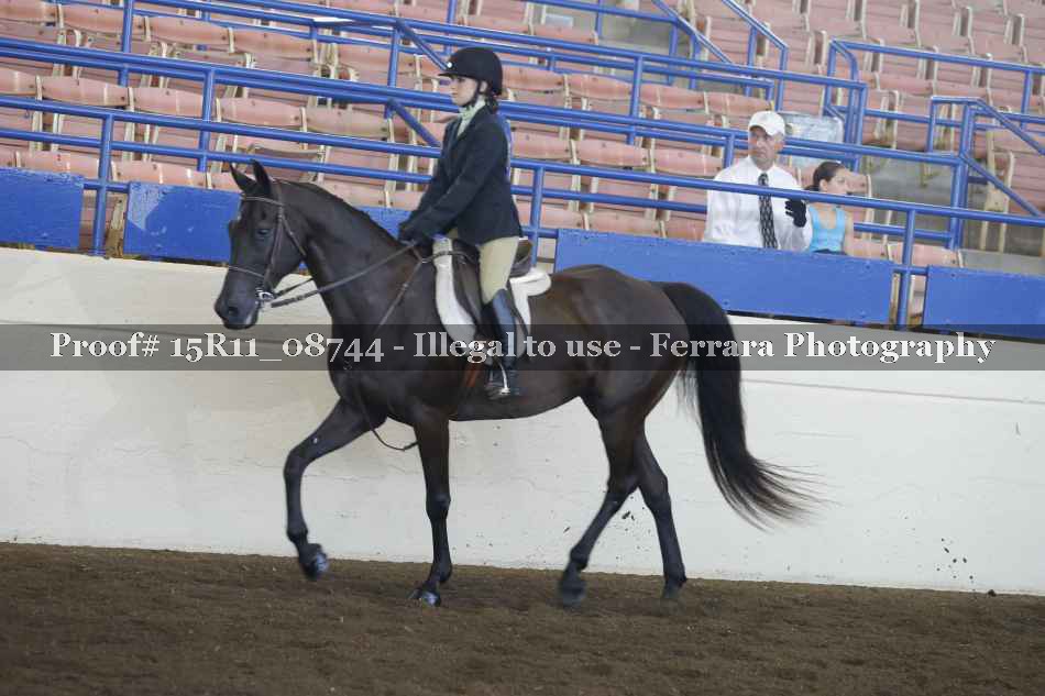 Proof Number 15R11_08744
