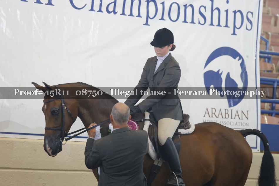 Proof Number 15R11_08750