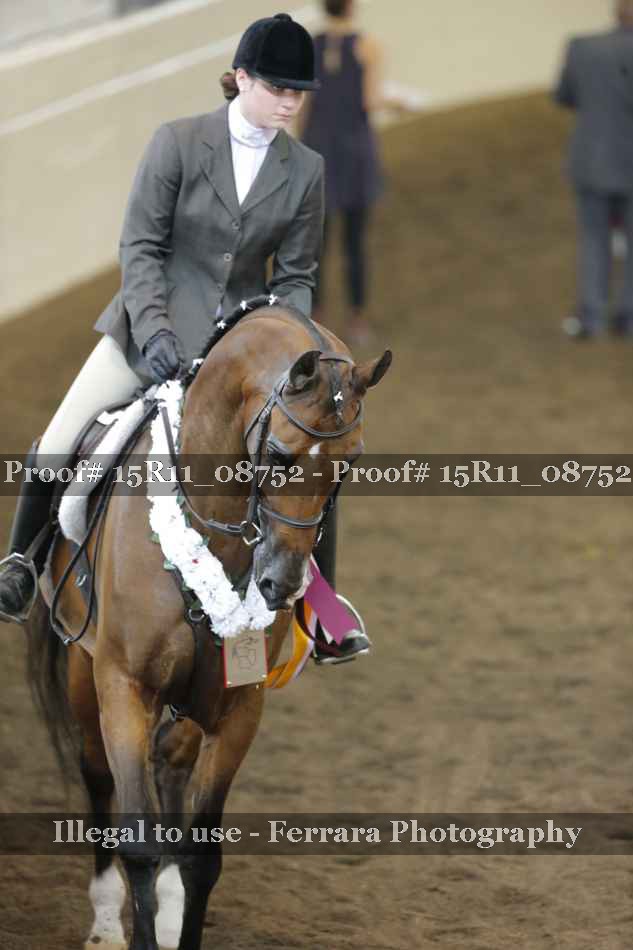 Proof Number 15R11_08752