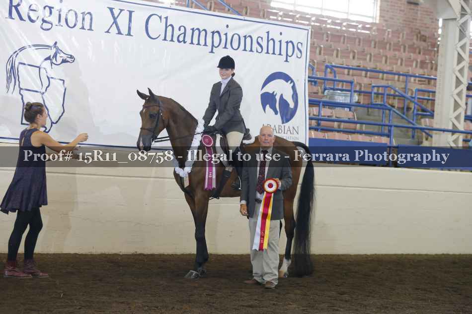 Proof Number 15R11_08758