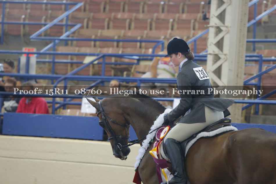 Proof Number 15R11_08760