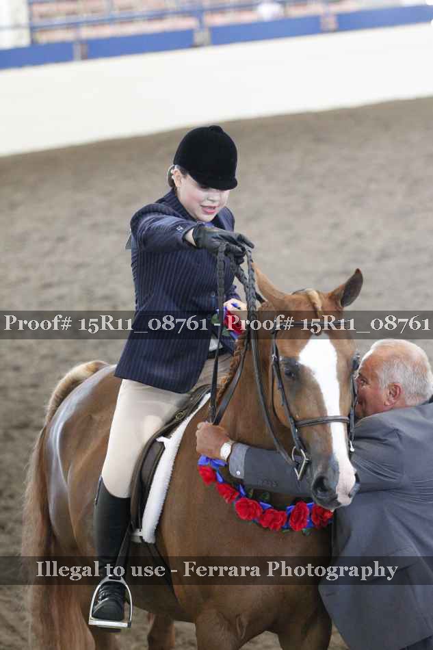 Proof Number 15R11_08761
