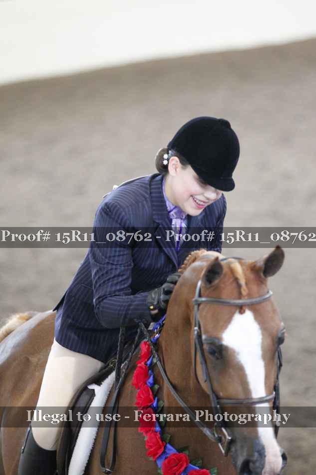 Proof Number 15R11_08762