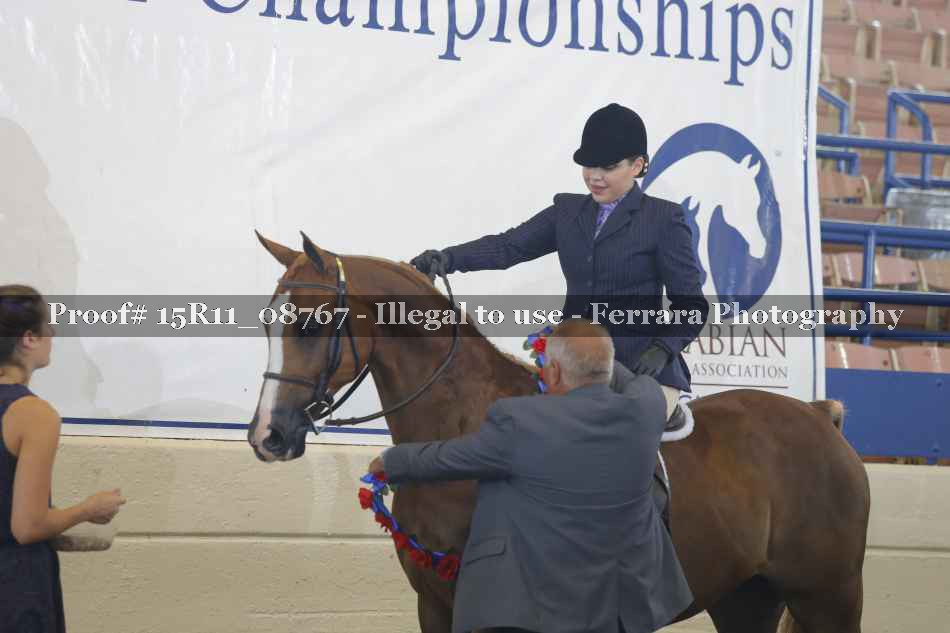 Proof Number 15R11_08767