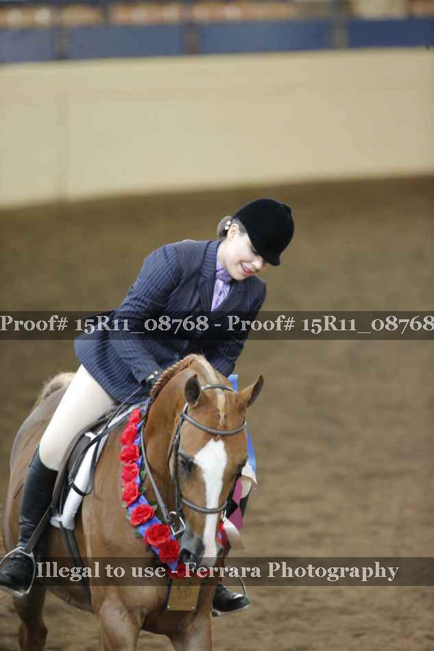 Proof Number 15R11_08768