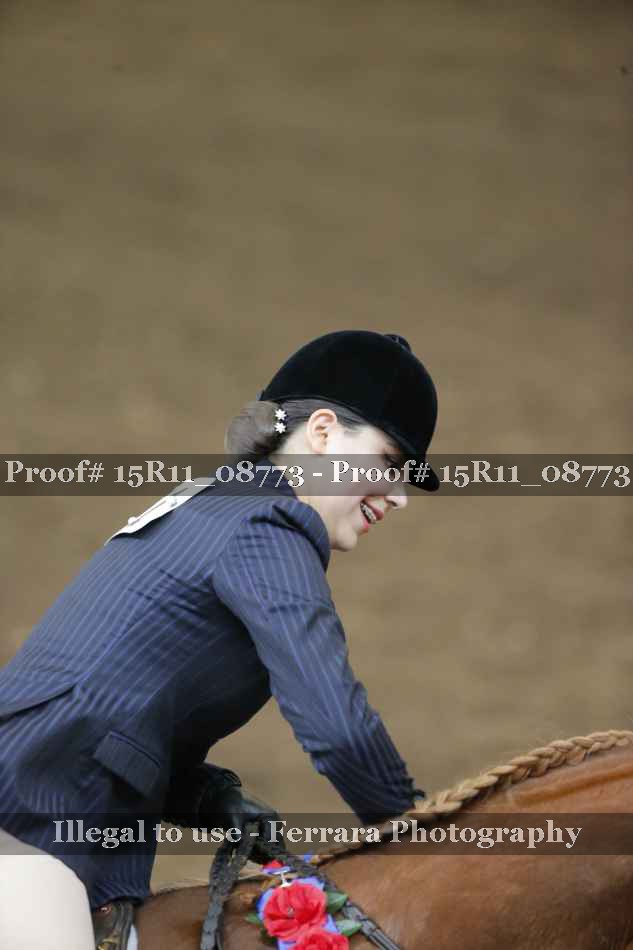 Proof Number 15R11_08773