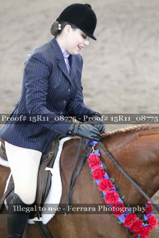 Proof Number 15R11_08775