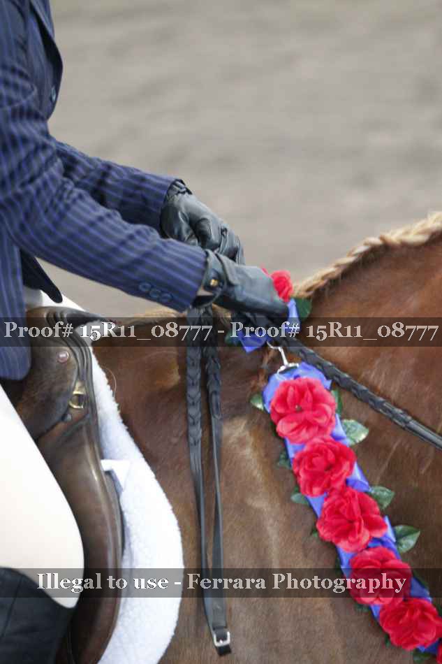 Proof Number 15R11_08777