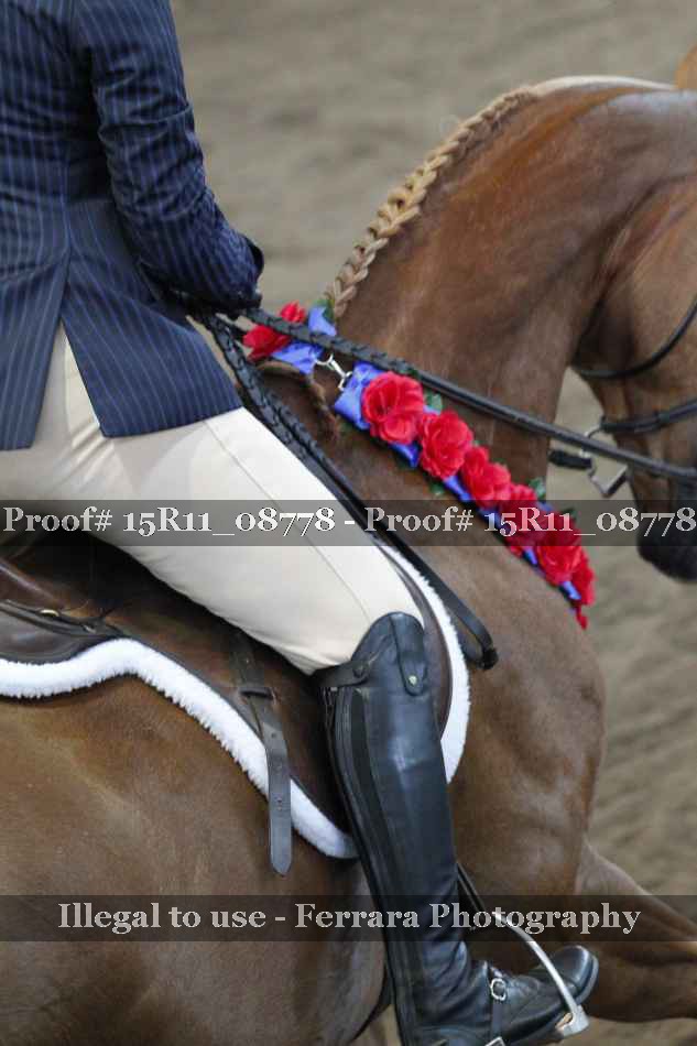 Proof Number 15R11_08778