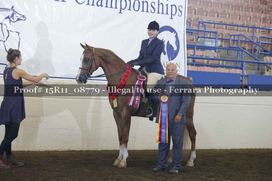 Proof Number 15R11_08779