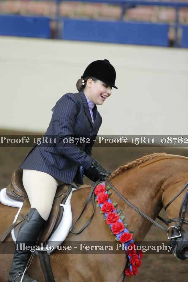 Proof Number 15R11_08782