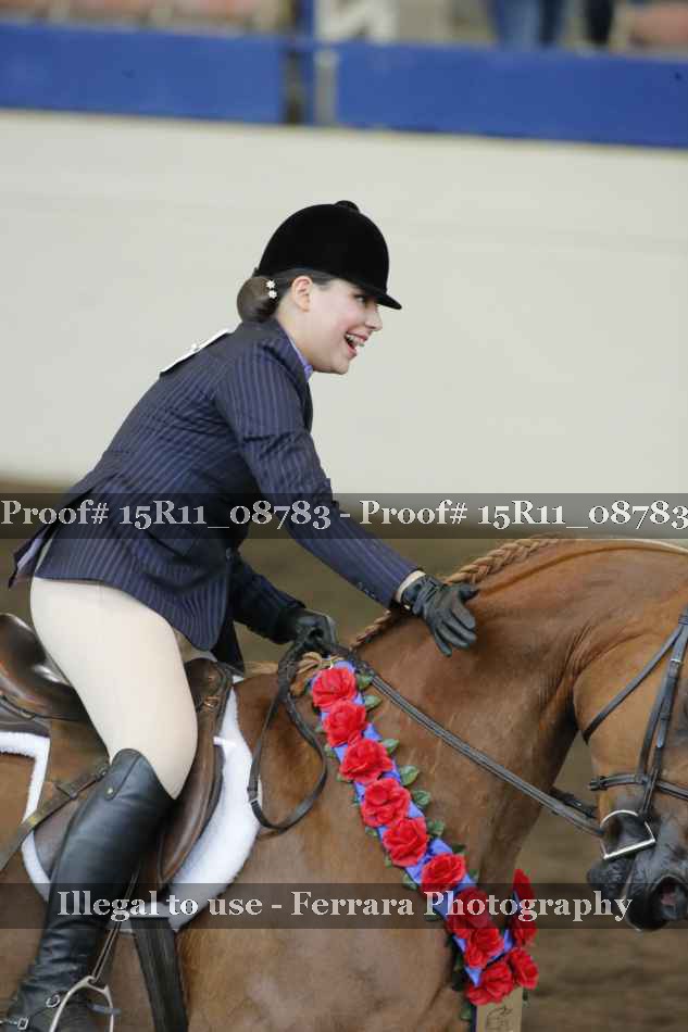 Proof Number 15R11_08783