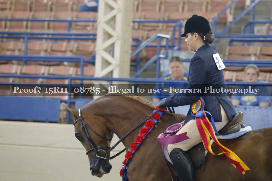 Proof Number 15R11_08785