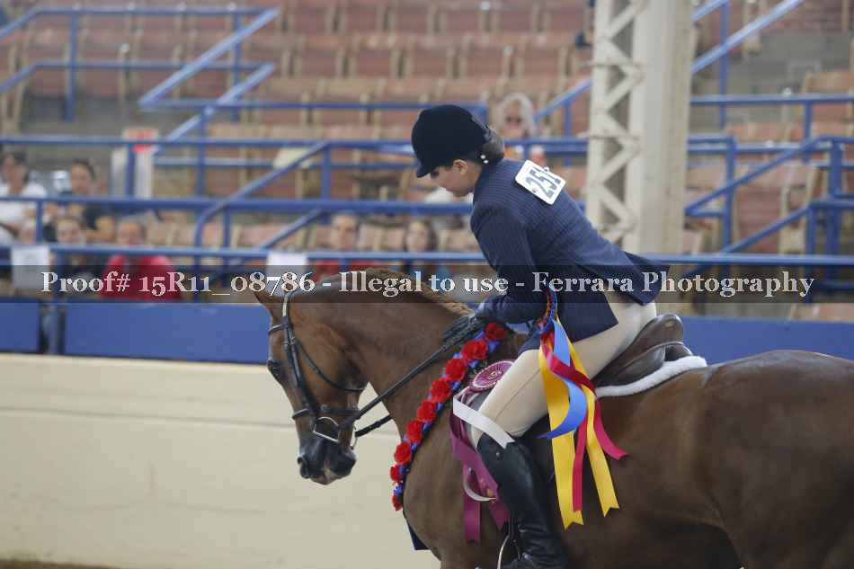 Proof Number 15R11_08786