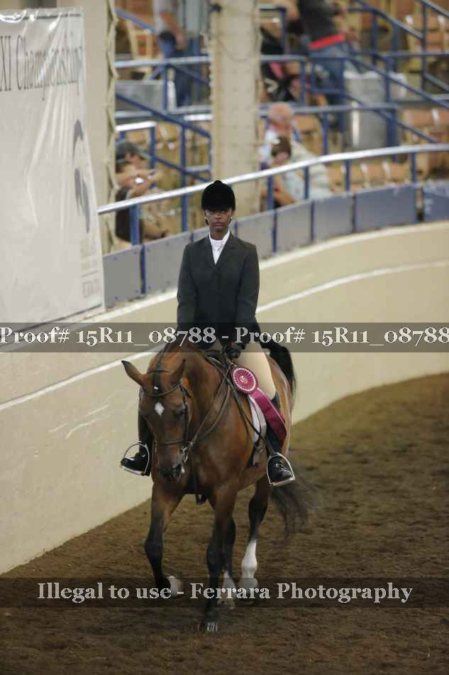 Proof Number 15R11_08788