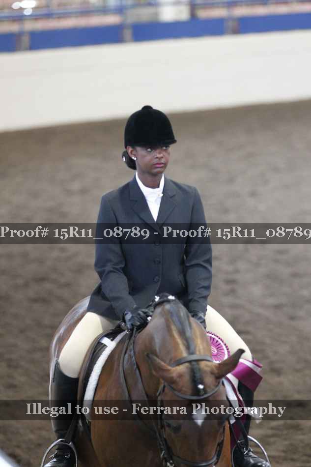 Proof Number 15R11_08789