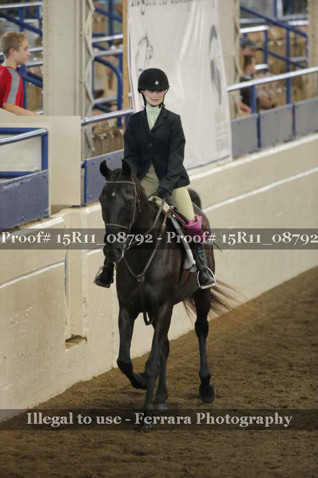 Proof Number 15R11_08792