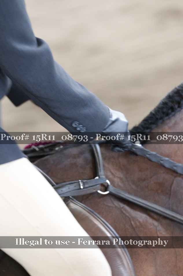 Proof Number 15R11_08793