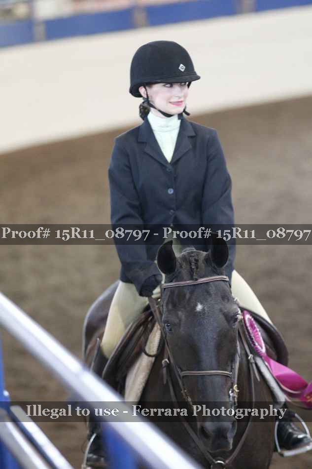 Proof Number 15R11_08797