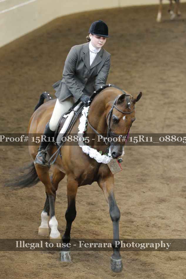 Proof Number 15R11_08805