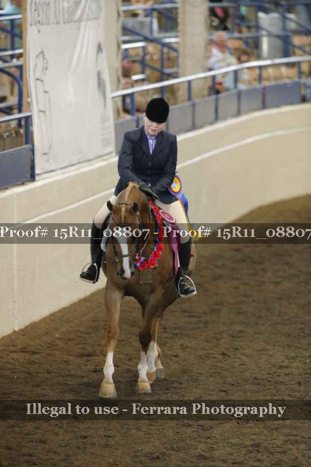 Proof Number 15R11_08807