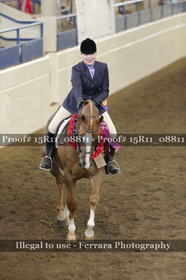 Proof Number 15R11_08811