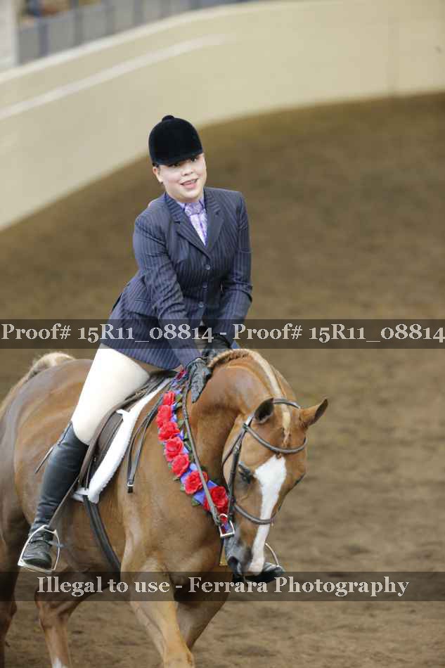 Proof Number 15R11_08814