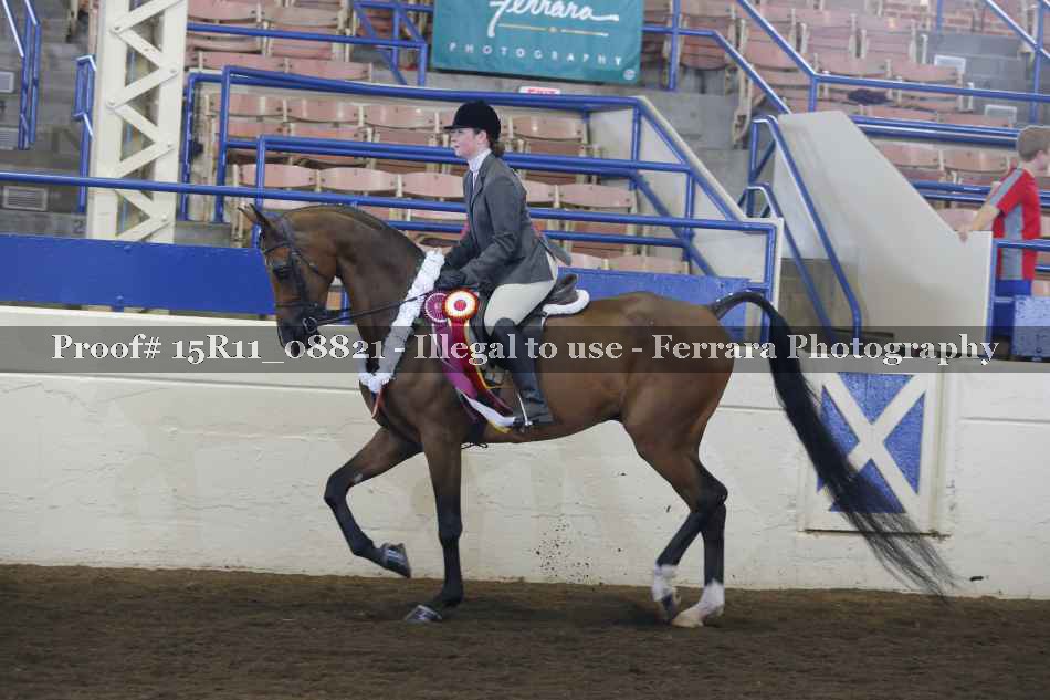 Proof Number 15R11_08821