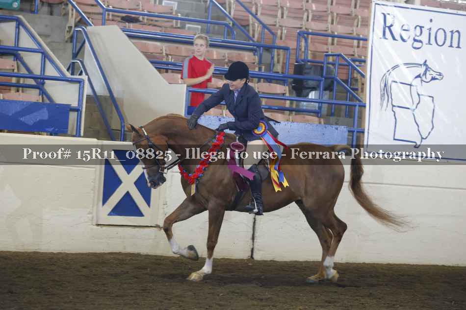 Proof Number 15R11_08825