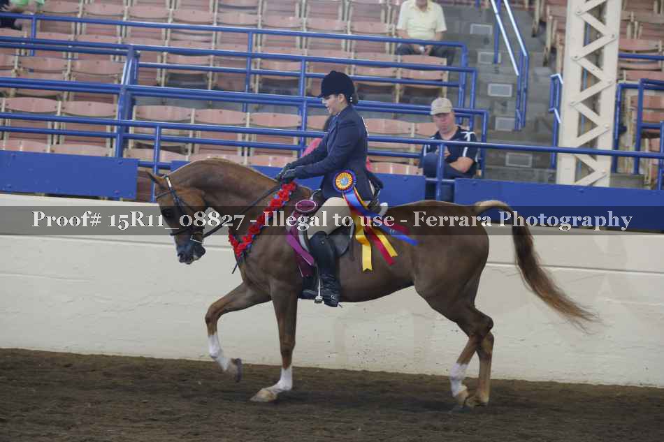 Proof Number 15R11_08827