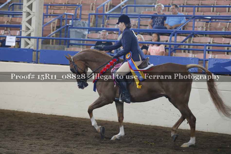 Proof Number 15R11_08828